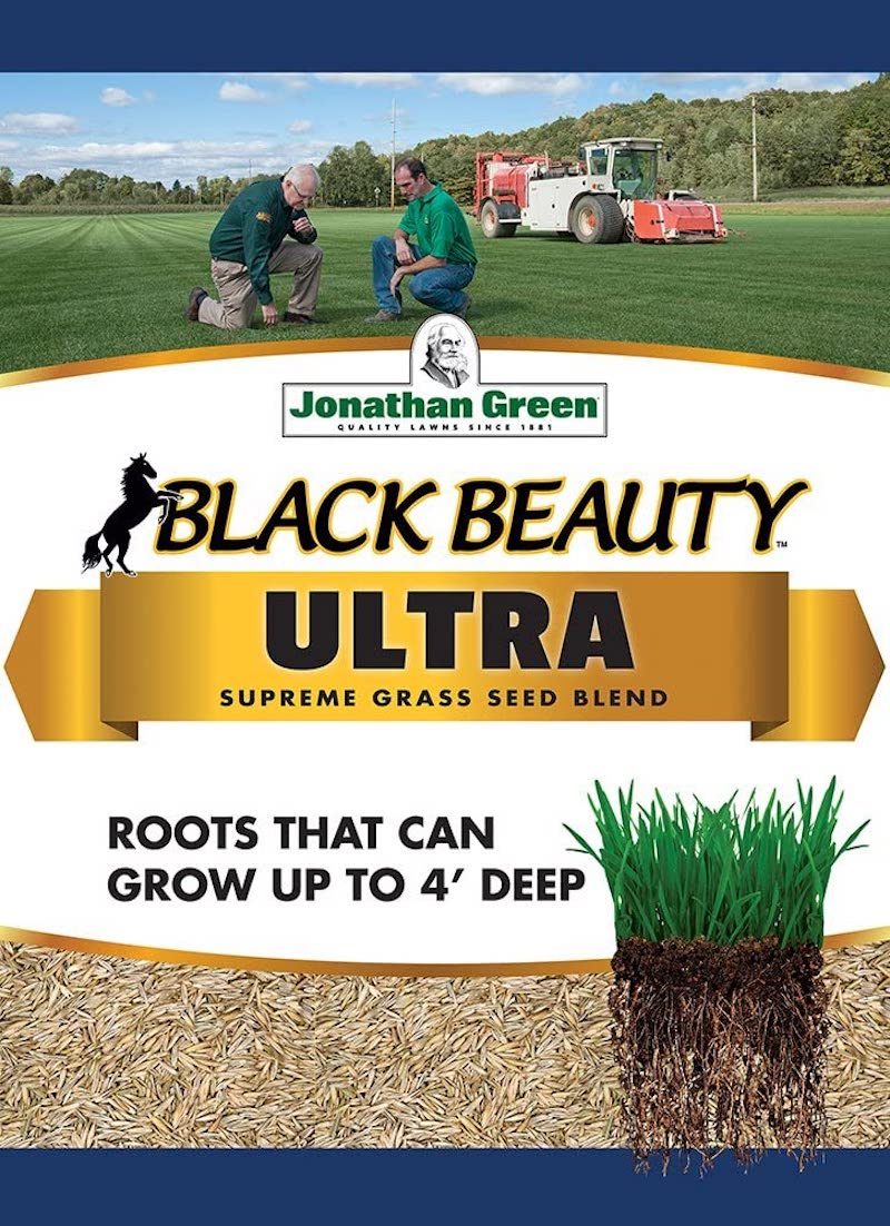 Jonathan Green Black Beauty Ultra Grass Seed Mix